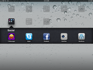 iPad Social networking app