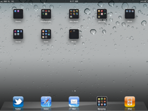 iPad Homescreen