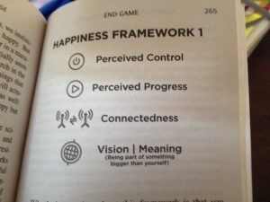 happiness framework 1