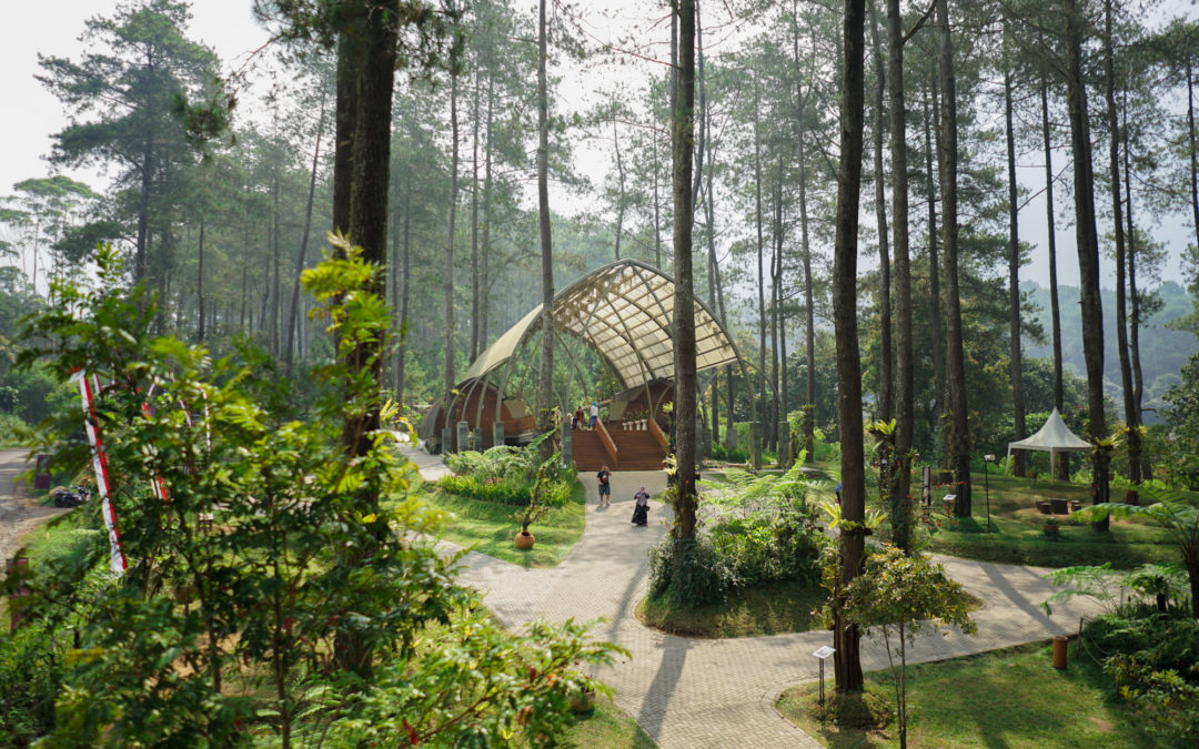 Fresh Breath of Air at Orchid Forest Cikole, Bandung