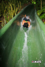 The water slide